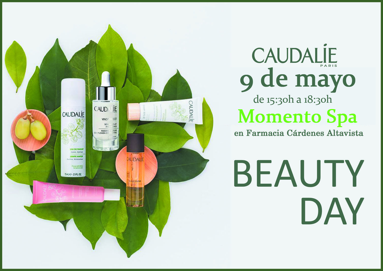 TU MOMENTO SPA CAUDALÍE
