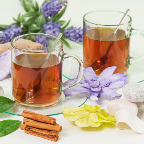 FITOTERAPIA Y PLANTAS MEDICINALES FITOTERAPIA Y PLANTAS MEDICINALES