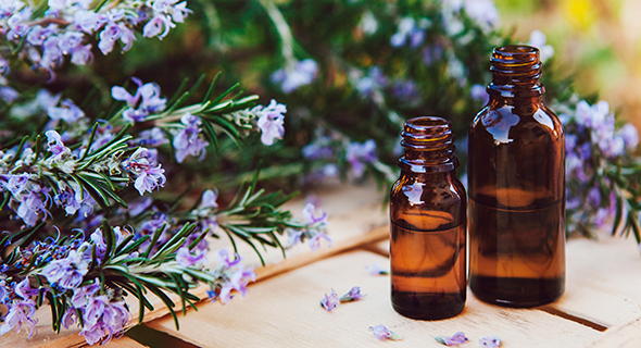 Terapia floral. Flores de Bach. Terapia floral. Flores de Bach.